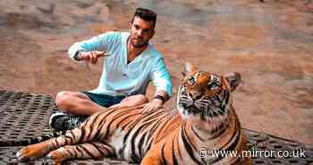 Globetrotting entrepreneur who makes a whole year's salary in ONE MONTH while travelling the world is on the lookout for love - Mirror.co.uk