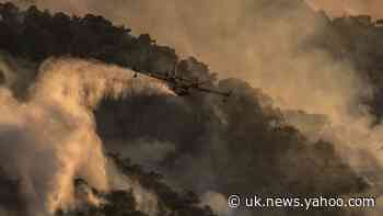 Firefighters see gains against Greece wildfire as winds drop