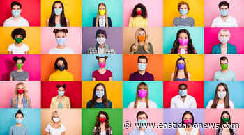 FACT OR FICTION: Local medical and legal experts weigh in on masks - East Idaho News