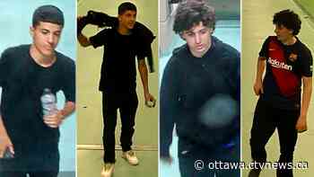 Ottawa Police look for two suspects following Barrhaven swarming - CTV News Ottawa