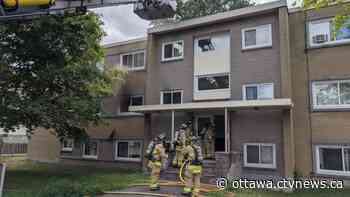 Ottawa firefighters rescue cat from apartment blaze - CTV News Ottawa