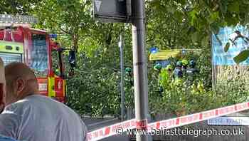 Falling tree crushes three pedestrians in east London