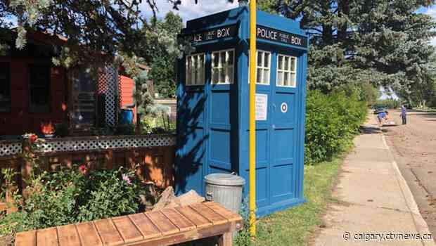 Alberta Doctor Who fan builds life-sized replica TARDIS in his yard