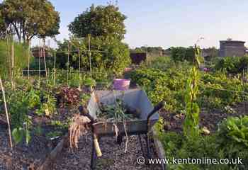 Allotments join the National Gardens Scheme