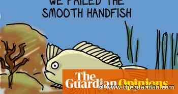 'Meet' the now officially extinct smooth handfish | First Dog on the Moon