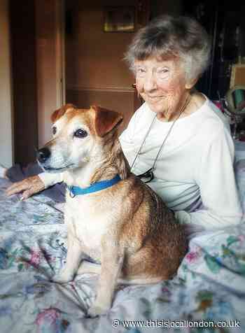 Harefield family's desperate plea for missing Queenie