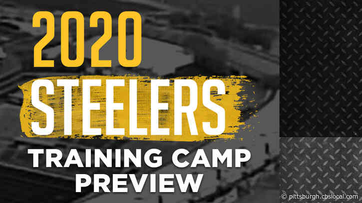 2020 Pittsburgh Steelers Training Camp Preview: Wide Receivers