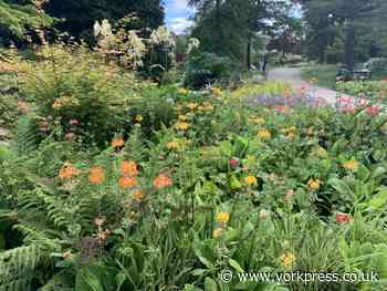 Weather conditions ignite explosion of colour in North Yorkshire gardens