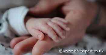 Struggling new dad "pulled baby from bath by genitals"