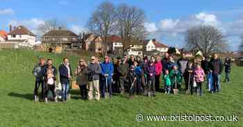 Lockdown and extreme weather kill hundreds of freshly planted trees