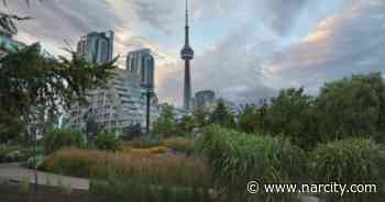 Wild Plants That Cause Nasty Skin Burns Are Growing At These Toronto Trails - Narcity Canada