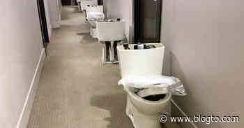 Toronto condos forced to share plunger after new efficient toilets installed - blogTO