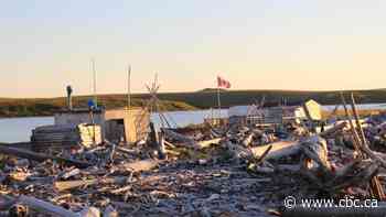 'Everything is connected': Aklavik's beluga whale harvest challenged on multiple fronts