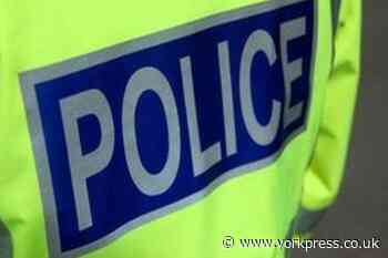 Two arrests after disturbance at address in Skelton