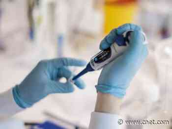 How to volunteer for a coronavirus vaccine trial     - CNET