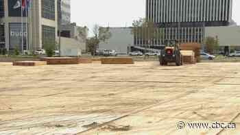 Hockey drive-in and beer garden planned for downtown Edmonton - CBC.ca
