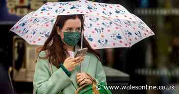 Decline in coronavirus cases in England levels off