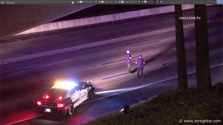Driver pursued by police jumps from freeway overpass in Anaheim, dies after struck by car