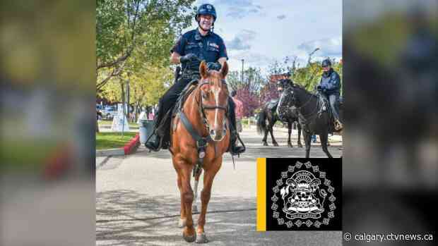 Calgary police celebrate retirement of police horse Maverick