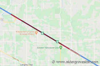 Multiple accidents slowing westbound Highway 1 traffic – Aldergrove Star - Aldergrove Star