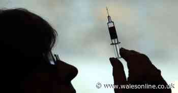 Free flu vaccine in Wales for all over-50s as programme expanded