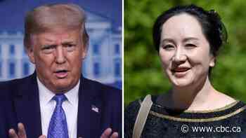 Meng Wanzhou lawyers claim Trump has 'poisoned' extradition proceedings
