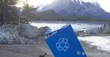 Overstuffed garbage bins in Alberta parks becoming dangerous for animals, visitors