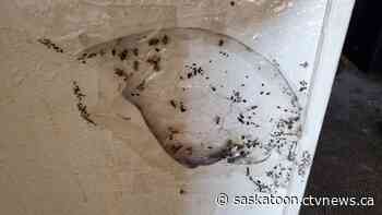 Social services ministry knew of 'challenges' at Saskatoon motel shut down by fire department