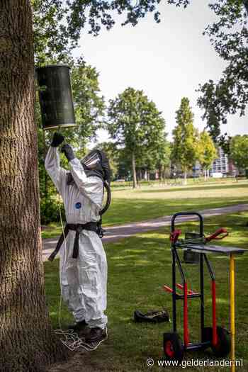 Pilot in Eindhoven: de jeukrups in toom houden met parasieten