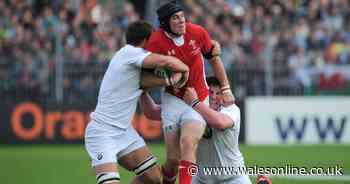 What happened next to Wales' players who almost conquered the world 7 years ago