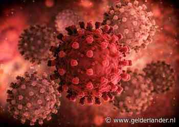 Ontdekking bij onderzoek Brabantse broers (29 en 31): ernstig verloop corona-infectie door gendefect