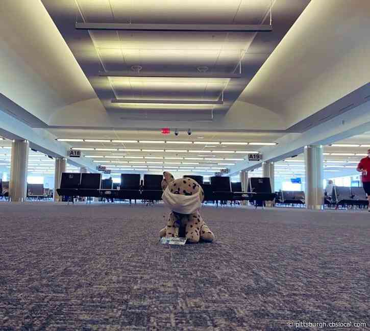 Lost Stuffed Animal At Cincinnati Airport Takes Social Media By Storm Before Being Reunited With Owner