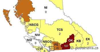 Okanagan region leads B.C. in number of new COVID-19 cases
