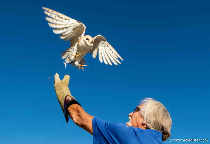 Orange County Bird of Prey Center is finishing quick flight to new center