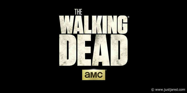 So Much 'The Walking Dead' News Was Just Revealed!