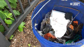 Edgewater Environmental Sustainability Project encourages sustainable living in their neighborhood