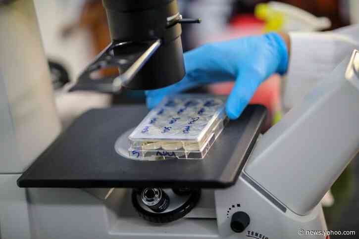 Scientists find exquisitely potent antibodies; a blood test may identify who needs steroids