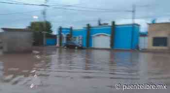 Inundaron lluvias calles de Nuevo Casas Grandes - Puente Libre La Noticia Digital