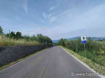Lavori lungo le strade provinciali: sfalcio dell'erba e potature in Valbisenzio, Poggio e Carmignano - tvprato.it