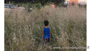Bimbi inghiottiti dall’erba "E’ alta più di un metro" - il Resto del Carlino