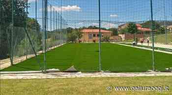 Erba sintetica al campetto della Rinascita di Tempio, lavori quasi conclusi - Gallura Oggi