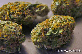 Adrano. Sedicenne segnalato alla Prefettura per consumo di “erba” - Yvii24.it