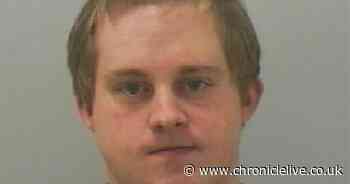 Paedophile snared by online vigilante group after first messaging a real child