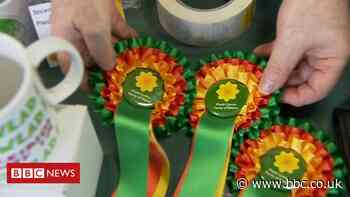 Coronavirus: Plaid Cymru to hold autumn party conference online