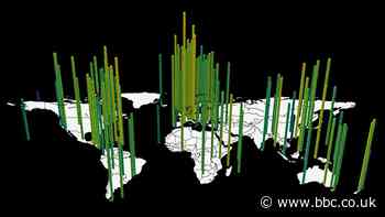 Coronavirus lockdowns reduced human 'rumble'