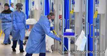 There is a spike in coronavirus in Welsh hospitals