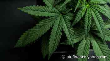 Why I think Canopy Growth stock may sit well in a UK portfolio