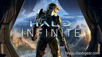 Halo Infinite devs double-down on REQ pack plans