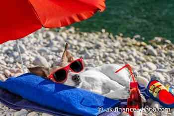 Coronavirus: UK travel restrictions list to be reviewed weekly