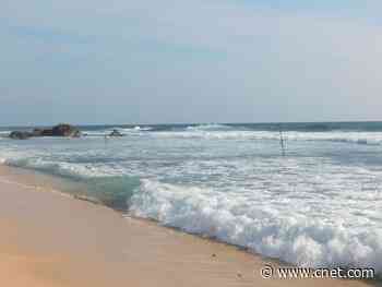 How to have a safe vacation during coronavirus this summer     - CNET